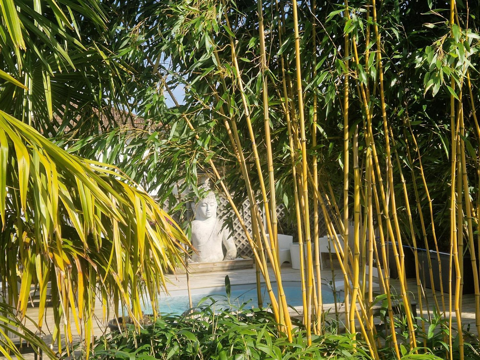La Serenite Balinaise, Chambre Et Sdb Privee, Jardin , Piscine Et Jacuzzi En Saison, Pres De Chantilly, Parc Asterix Et Cdg Et Paris En 20' Orry-La-Ville Ngoại thất bức ảnh