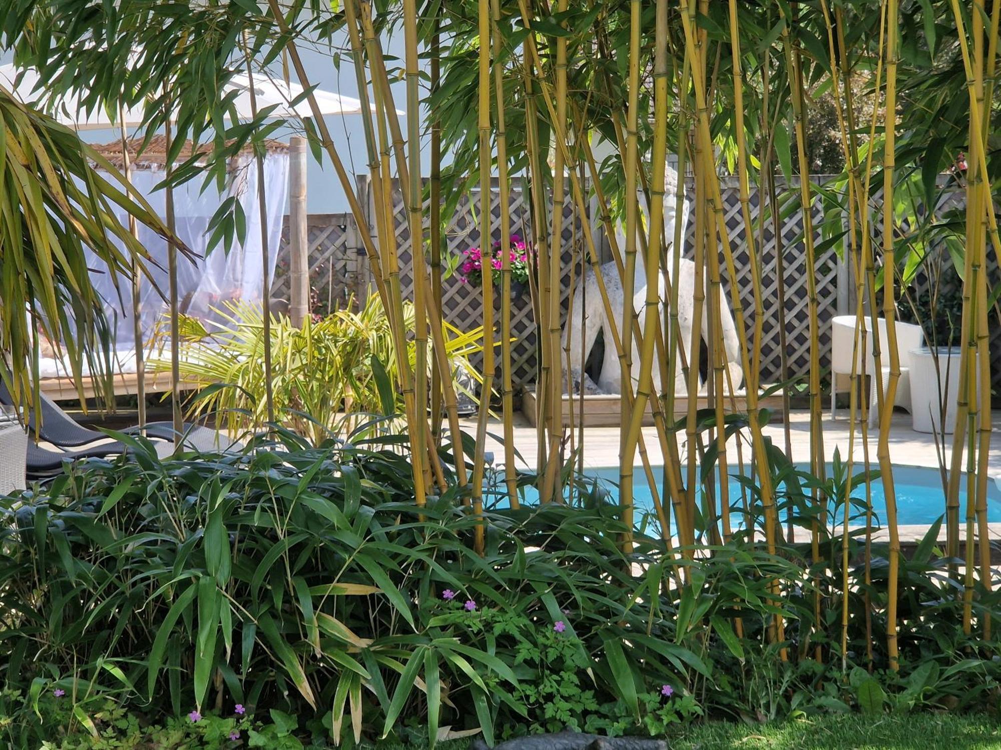 La Serenite Balinaise, Chambre Et Sdb Privee, Jardin , Piscine Et Jacuzzi En Saison, Pres De Chantilly, Parc Asterix Et Cdg Et Paris En 20' Orry-La-Ville Ngoại thất bức ảnh