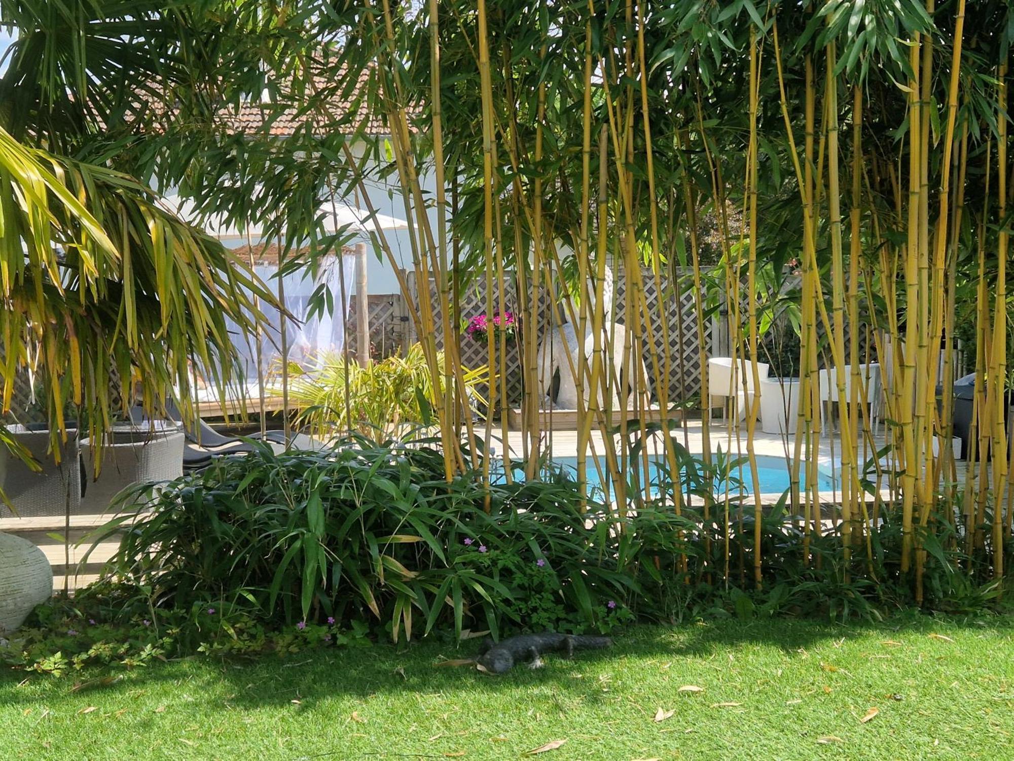 La Serenite Balinaise, Chambre Et Sdb Privee, Jardin , Piscine Et Jacuzzi En Saison, Pres De Chantilly, Parc Asterix Et Cdg Et Paris En 20' Orry-La-Ville Ngoại thất bức ảnh